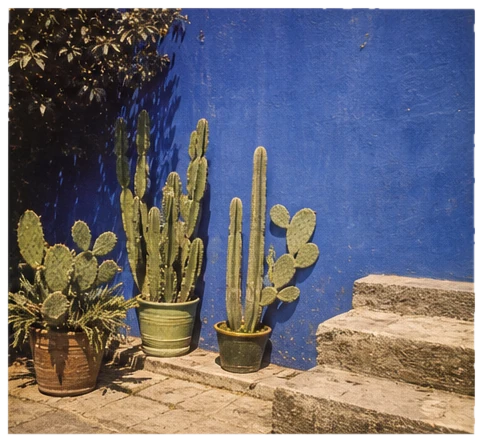 Casa Azul, Coyoacán