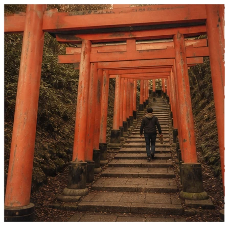A tunnel of torii gates with one figure walking away