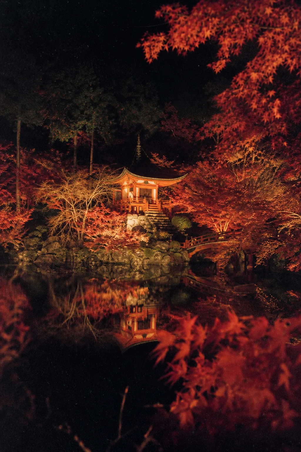 Floodlit red maples around a small pagoda reflected in a pond